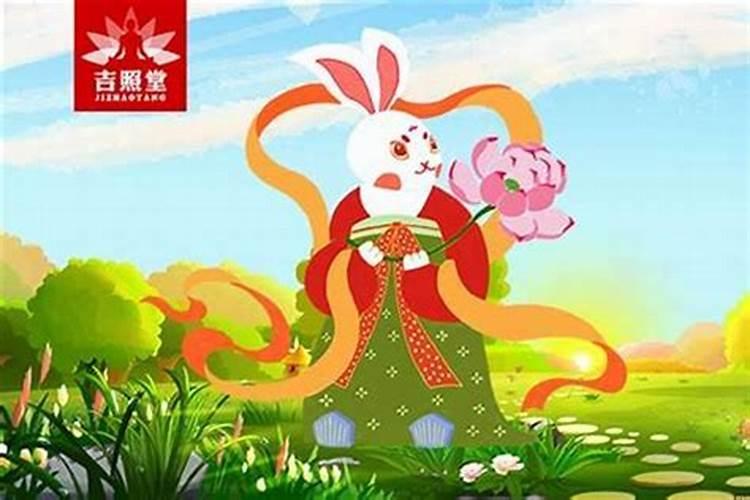 属兔的今年穿什么颜色