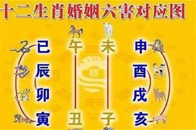 结婚当天回避属相