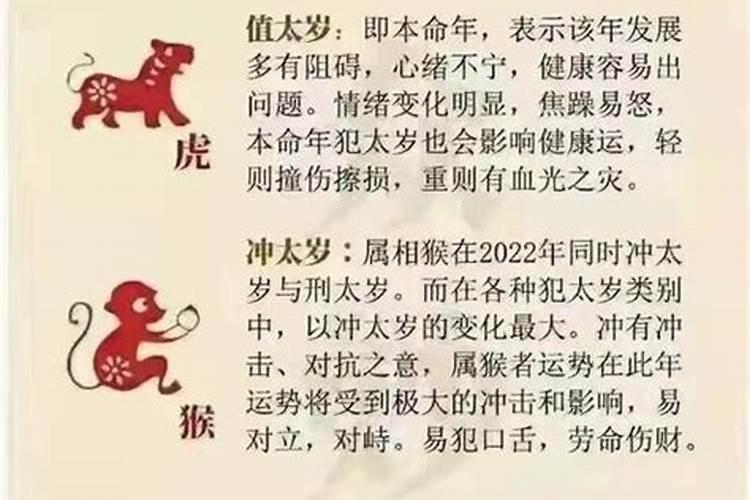 老鼠本命年穿什么色是幸运色