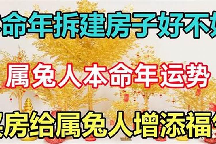 本命年买新房子好不好