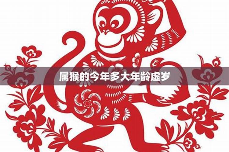 2021属猴的虚岁今年多大了