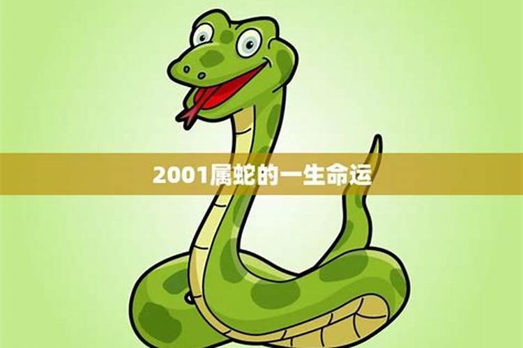 2001属龙一生三劫