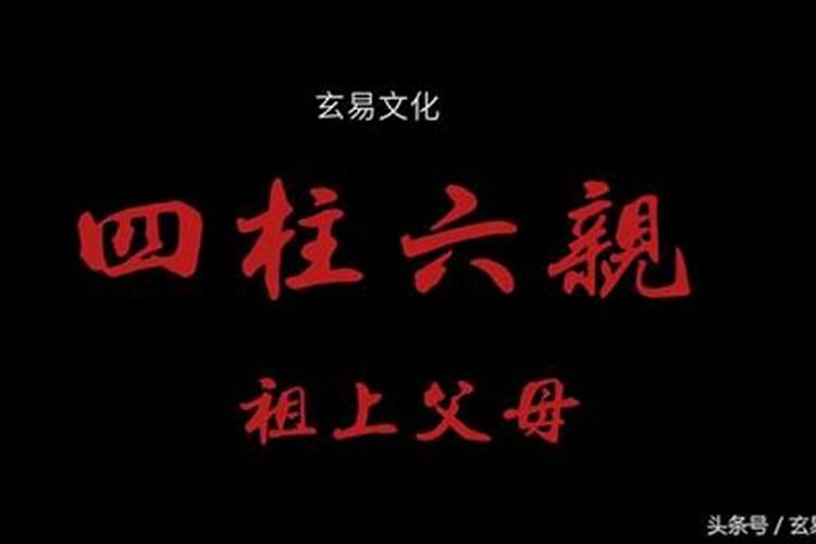 八字合狗指什么生肖