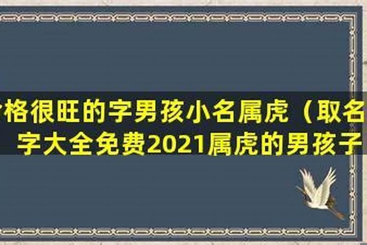 男孩子小名大全2021属虎