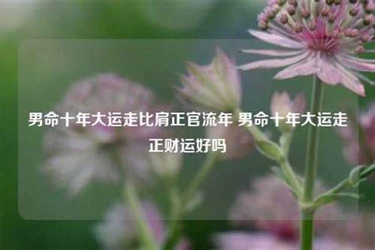 男命行比肩大运什么意思