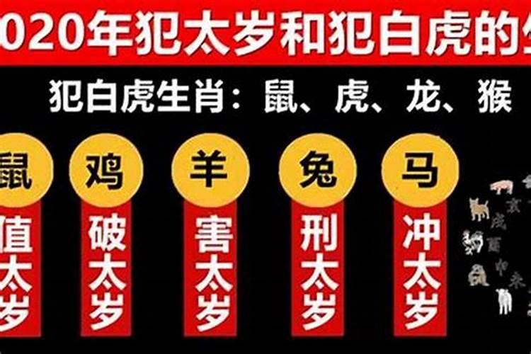 2020犯太岁什么生肖最好