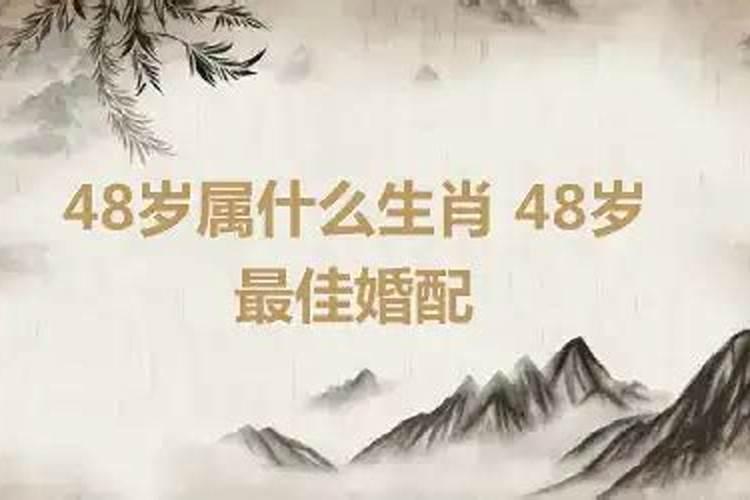 今年48岁的人属相是什么生肖