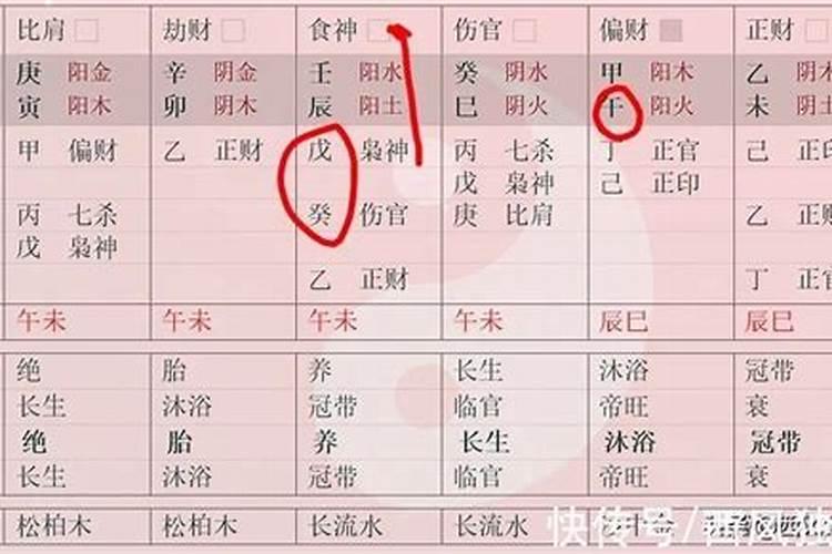 伤官的八字才是好八字