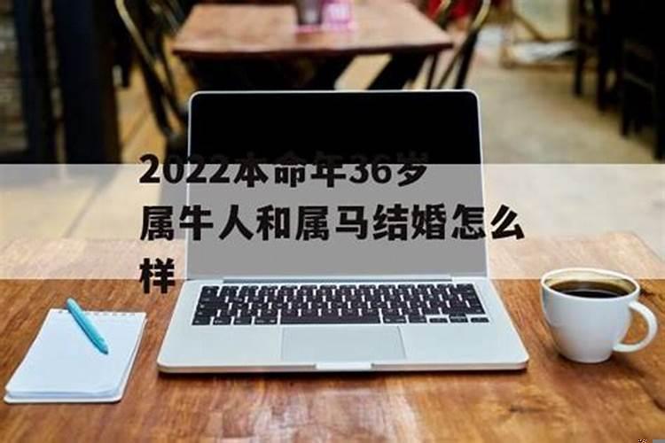 2022年属牛人结婚好不好