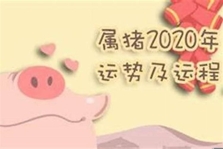 生肖猪2021年运势大全逐月运势详解必看